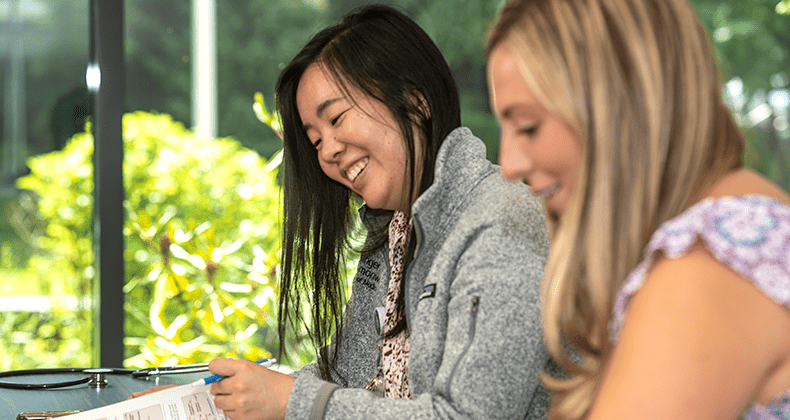 Two students studying