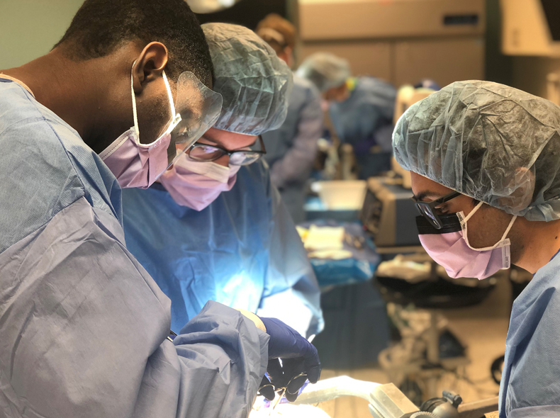 Surgeons performing surgery