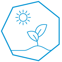 Environmental wellness icon