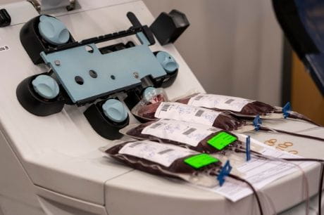 Bags of donated blood.