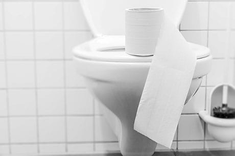 Toilet with toilet paper