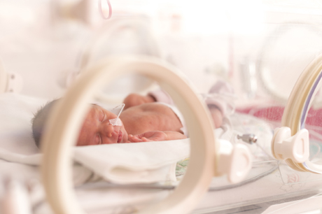 wellness premature babies