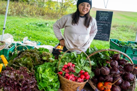 foods full of macronutrients and micronutrients