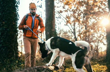 Man walking a dog in a wooded area. 