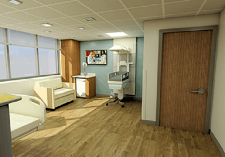 labor and delivery rendering