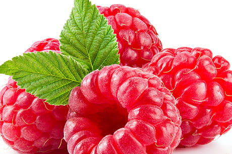 A closeup photograph of raspberries.